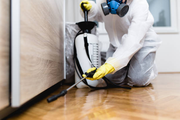 Best Termite Control Services  in Leechburg, PA