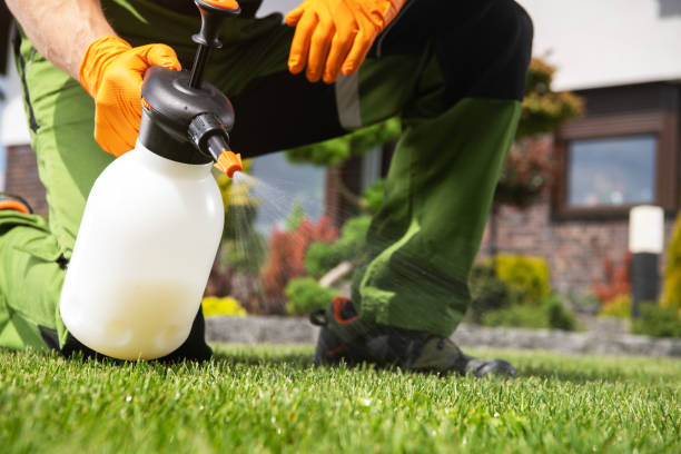 Best Mosquito Control Services  in Leechburg, PA