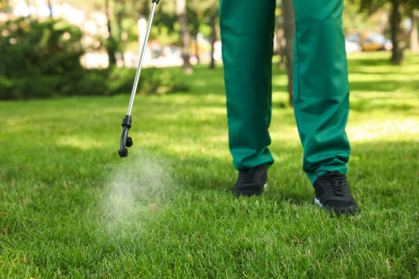 Wasp Removal Services in Leechburg, PA
