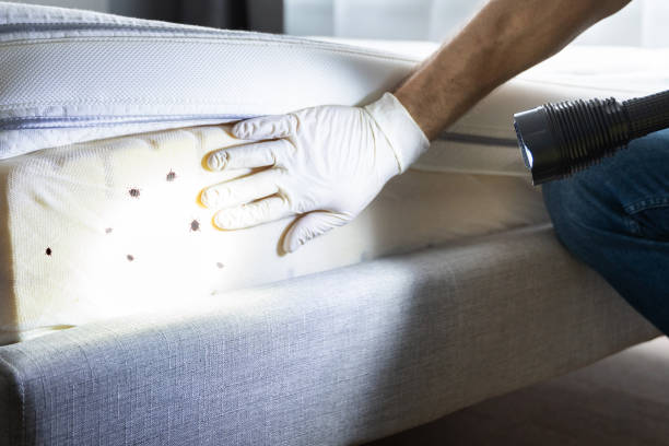 Best Rat Extermination Near Me  in Leechburg, PA